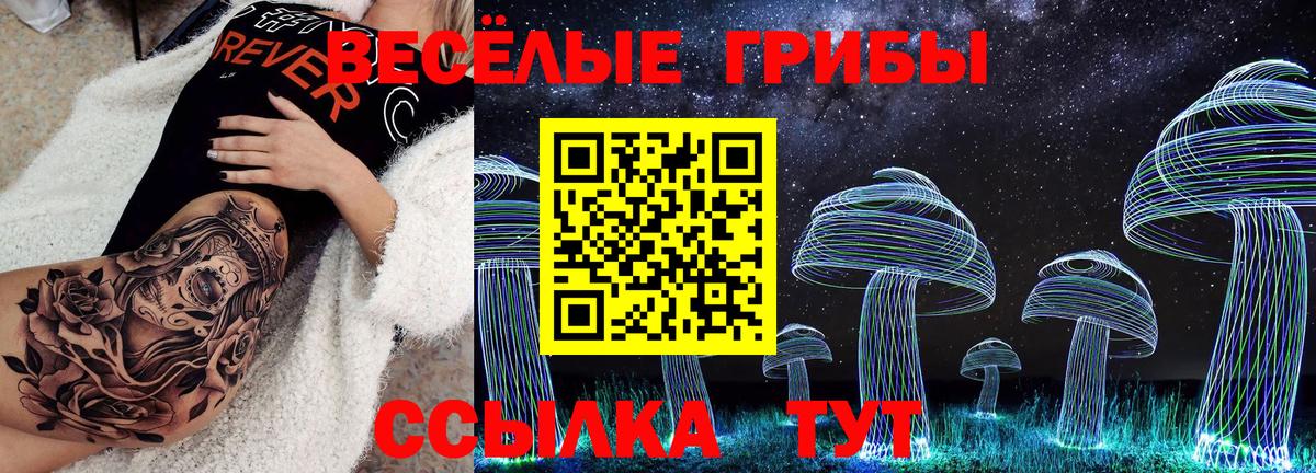 Галлюциногенные грибы MAGIC MUSHROOMS  Вход с VPN  Псилоцибиновые грибы Cubensis  Белая Калитва 