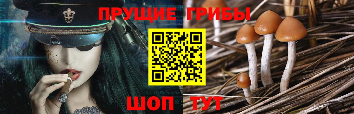 Галлюциногенные грибы GOLDEN TEACHER Белая Калитва